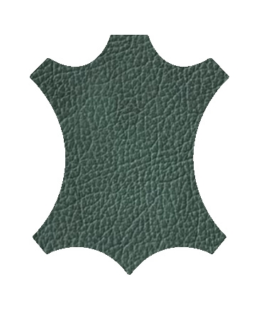 G5C5
